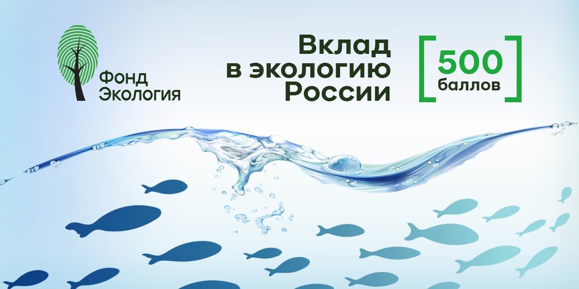 Благодарим за участие в сборе баллов «Урожай» на реализацию проекта по выпуску мальков в озеро Байкал