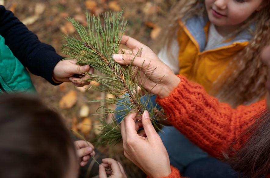 Сила в объединении: Фонд «Экология» РСХБ подвёл итоги всероссийской акции — детские сады и школы собрали более 20 тонн макулатуры