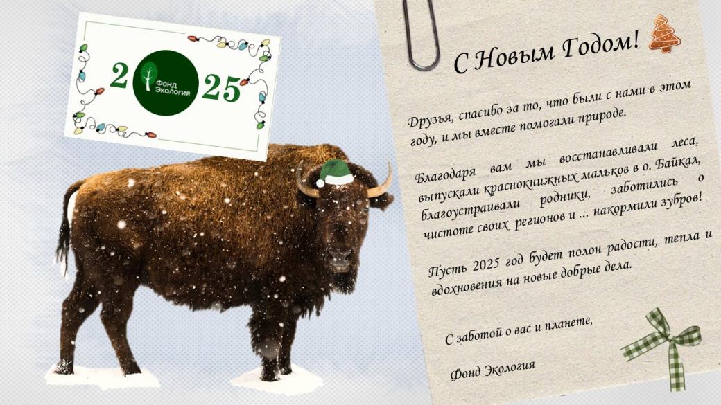 Фонд "Экология" поздравляет всех с Новым Годом!