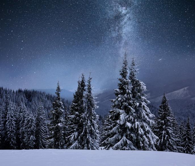 Что сама природа попросила бы на Новый год?