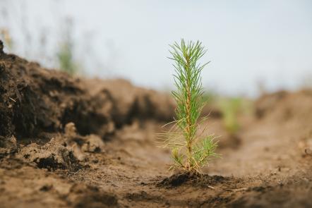Всемирный день подарков