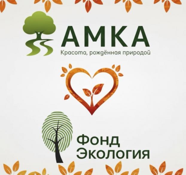 Сотрудничество с компанией "НеоАрт"