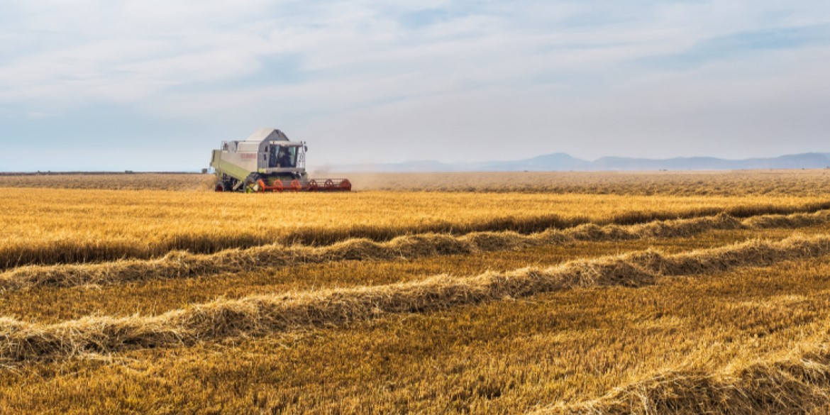 Сколько стоит адаптироваться к климату. Изменения погодных условий станут одним из драйверов инвестиций в перспективе следующих лет