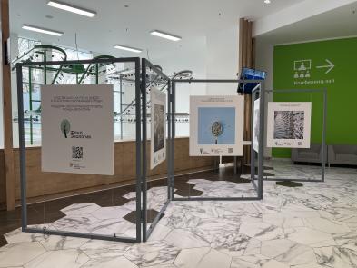 Студентам-экологам и всем, кто заботится о будущем планеты: выставка о микропластике открылась в РЭУ им. Г. В. Плеханова!