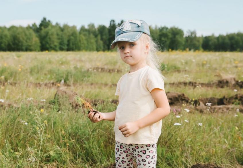 Фонд «Экология» РСХБ дает старт новому сезону акции «Посадим лес вместе!»