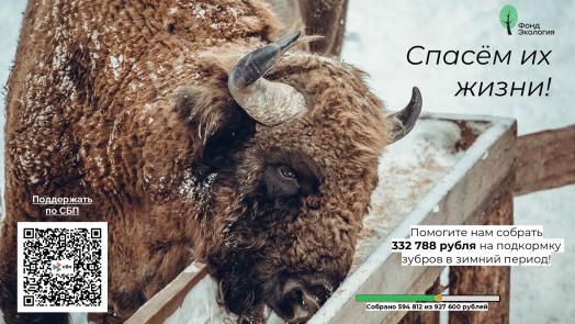 Спасем их жизни!